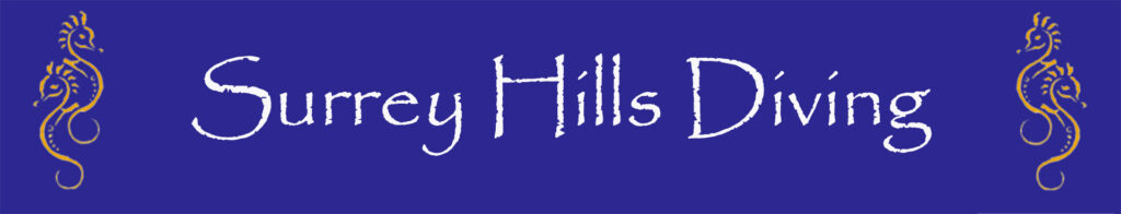 Surrey Hills Diving Header