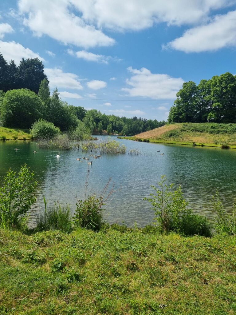 View of the lake