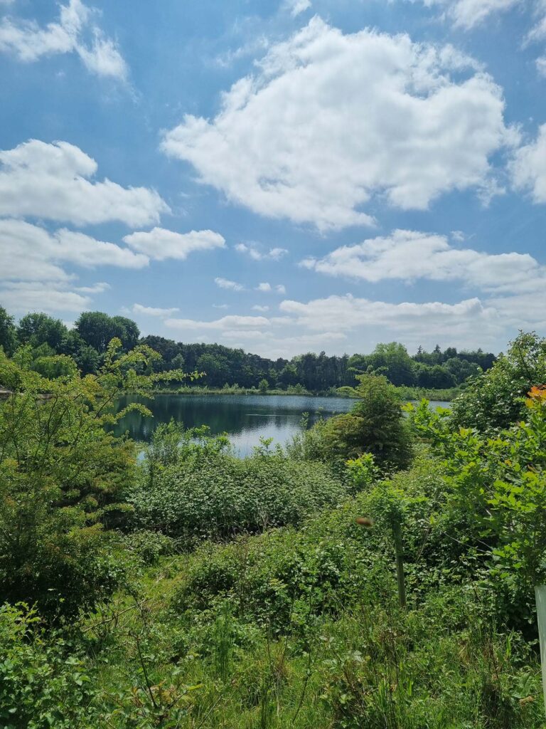 Lake View