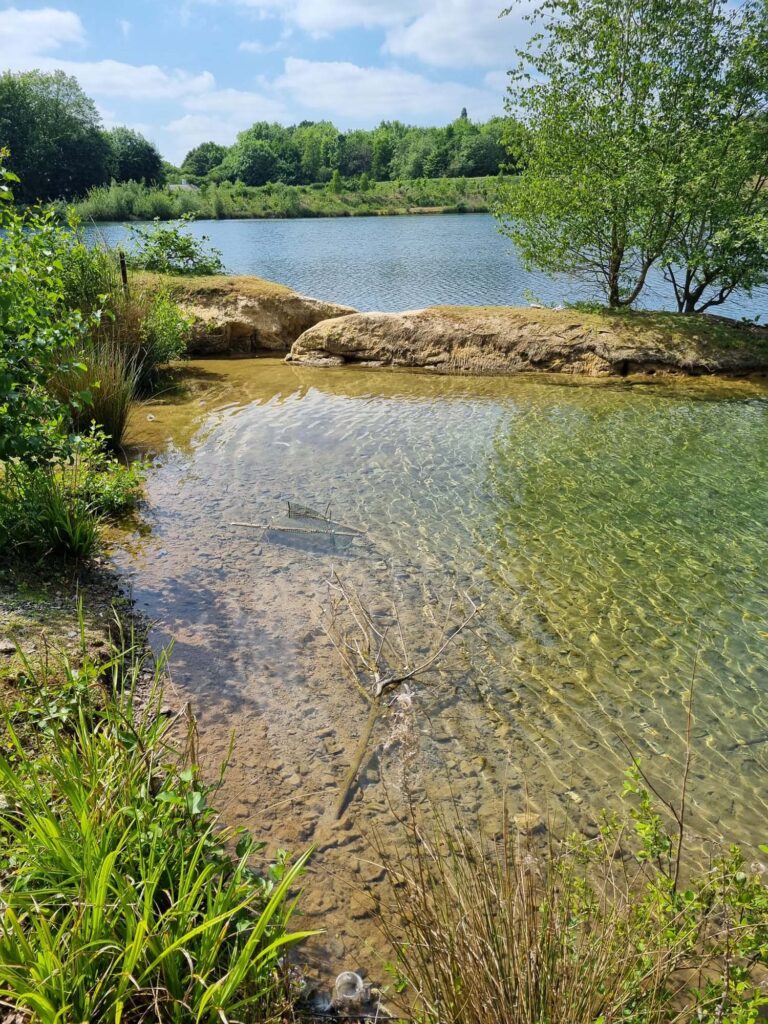 View of the lake